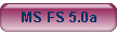 MS FS 5.0a