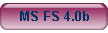 MS FS 4.0b