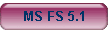 MS FS 5.1